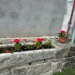 Tereza